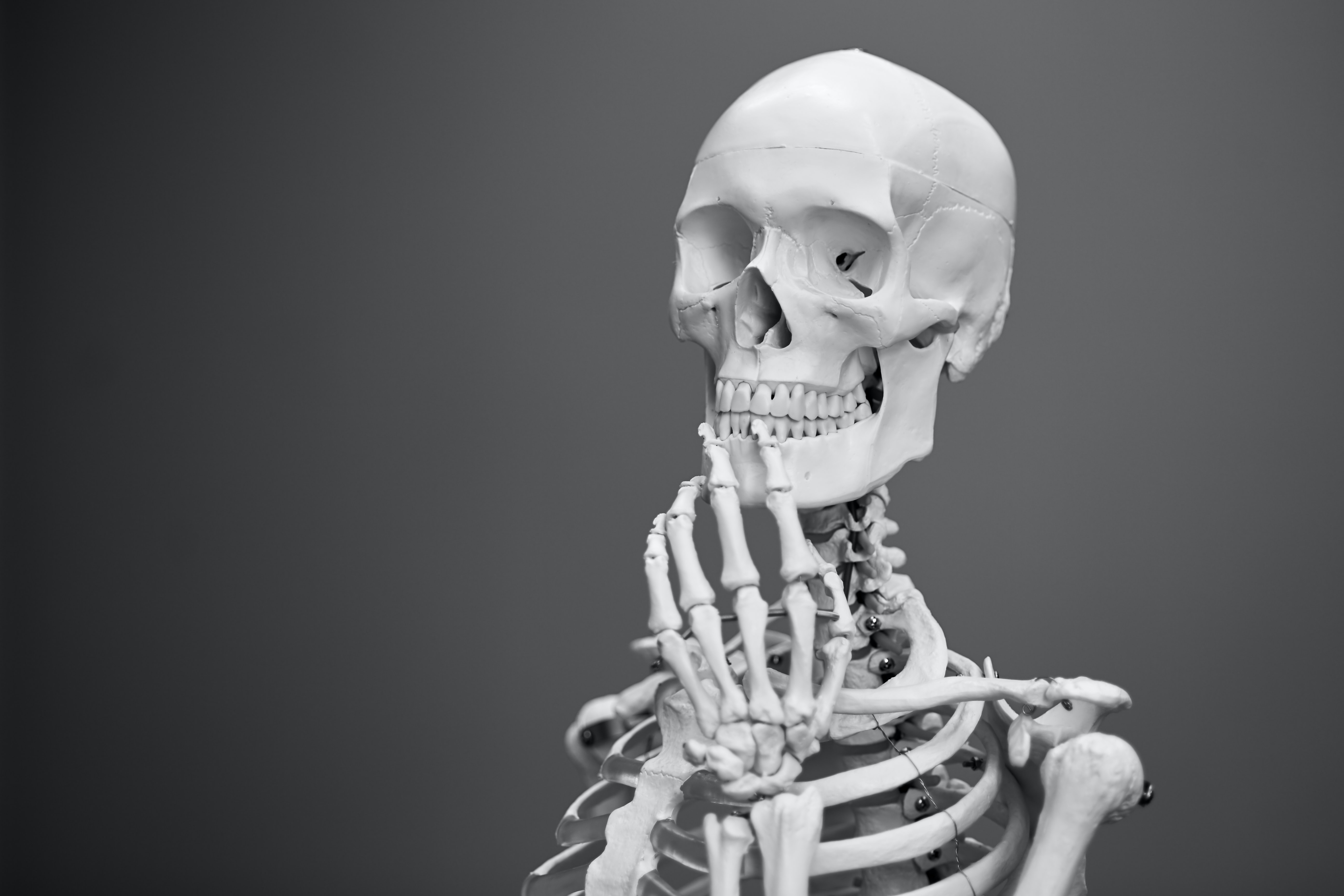 Anatomie de l’intéressant