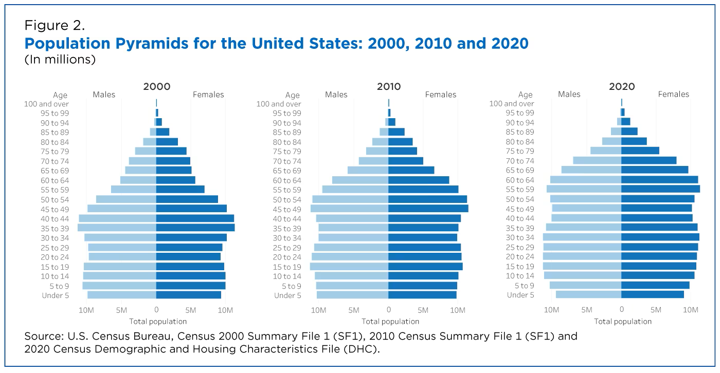 US Population Pyramid 2000-2020